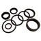 Aftermarket SEM JI Fits Case Replacement seal kit for Backhoe Loader D148100 - alternate 2